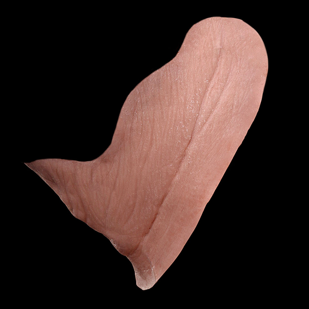 NK17 - Old Age Upper Neck Unisex - Image 3