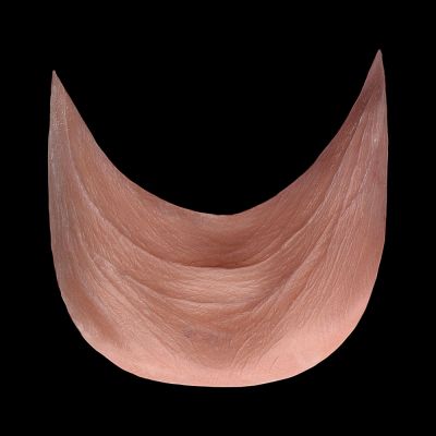 NK18 - Old Age Lower Neck Unisex