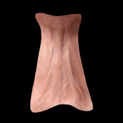 NK4 - Old Age Neck Wattle Male