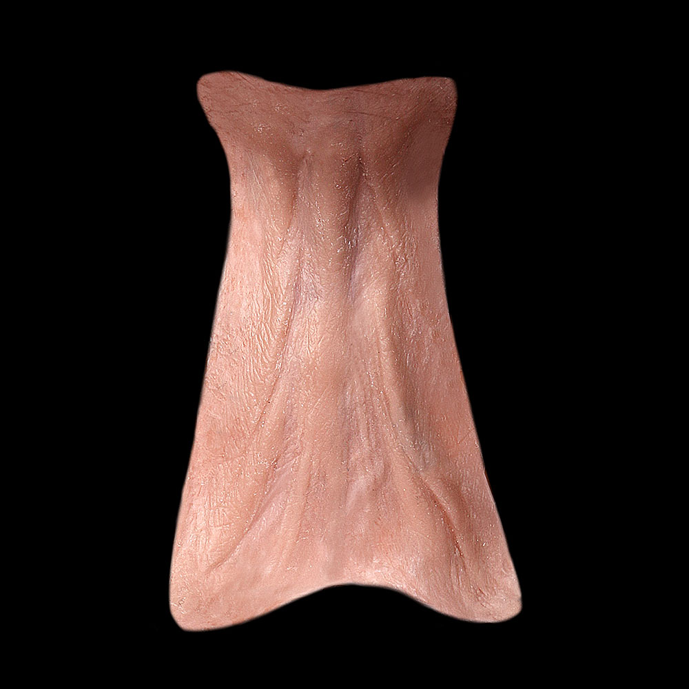 NK4 - Old Age Neck Wattle Male