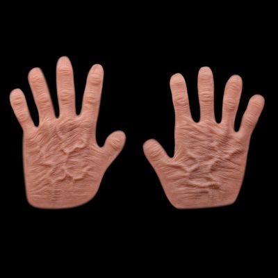 HN3 - Old Age Hands Large