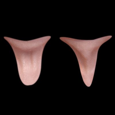 NK7 - Set of Generic Old Age Neck Wattles Unisex