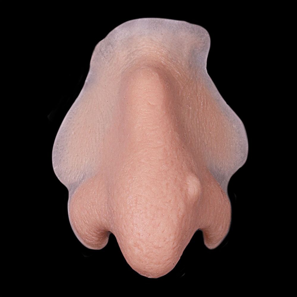WN1 - Witch Nose