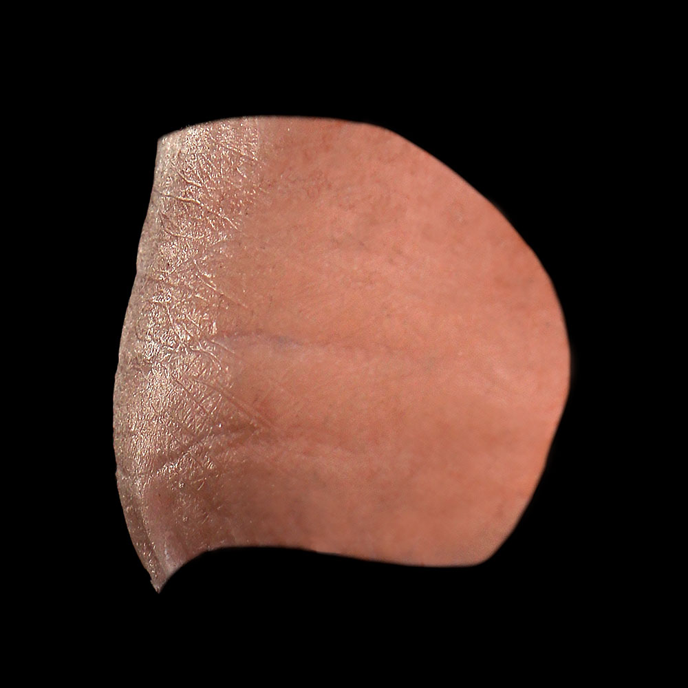 FH25 - Old Age Forehead Unisex - Image 3