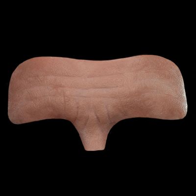 FH27 - Old Age Forehead Unisex