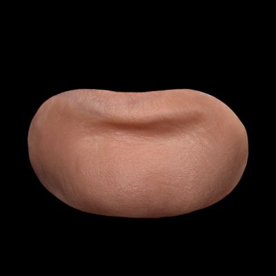 HB2 - Hunchback Chin Unisex