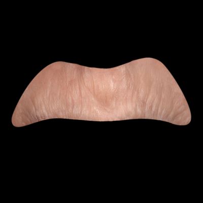 L14 - Old Age Top Lip Unisex