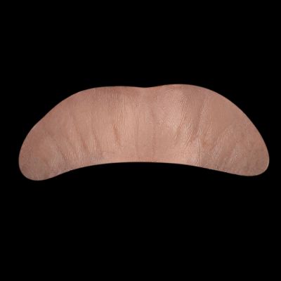 L15 - Old Age Top Lip Unisex