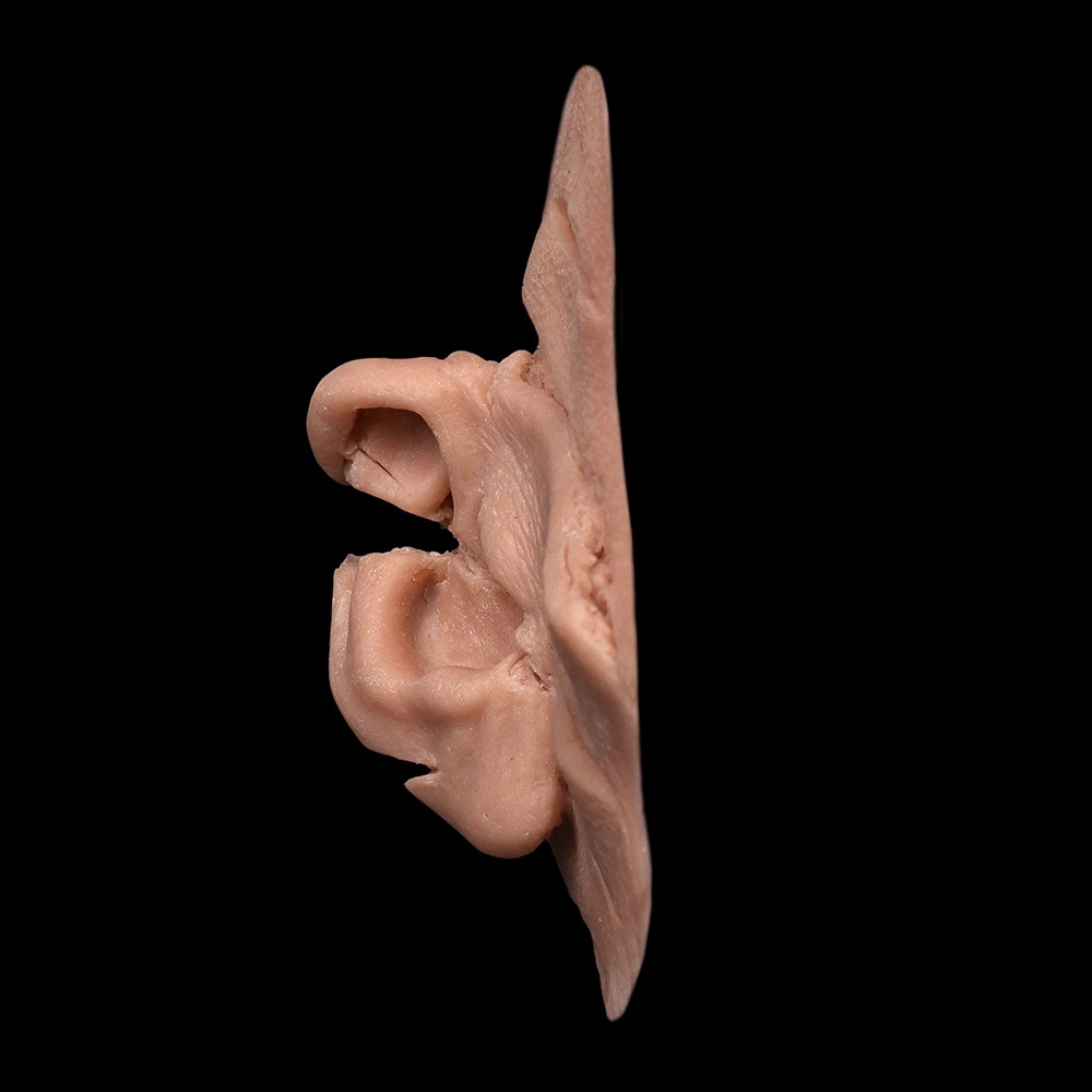 WD25 - Torn Face & Ear Wounds - Image 3