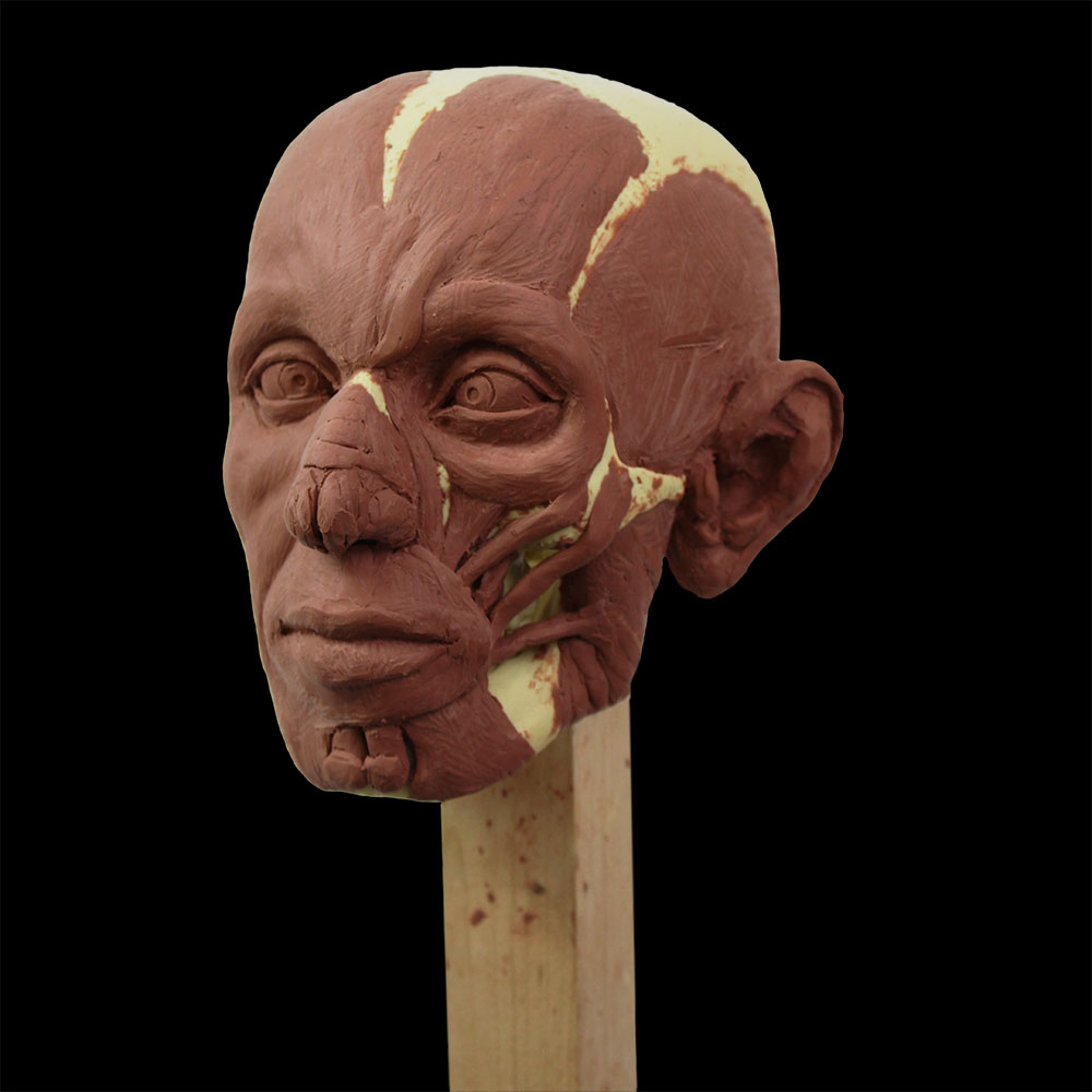 Skullpture Stand - Image 2
