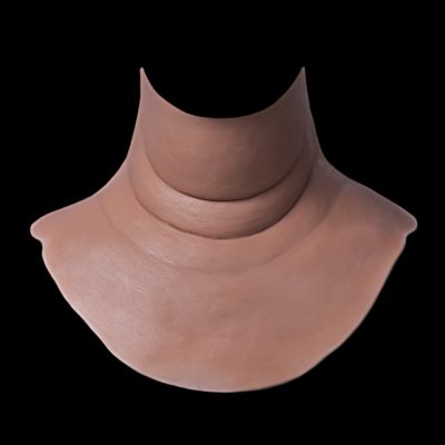 NK27 - Fat Neck Unisex