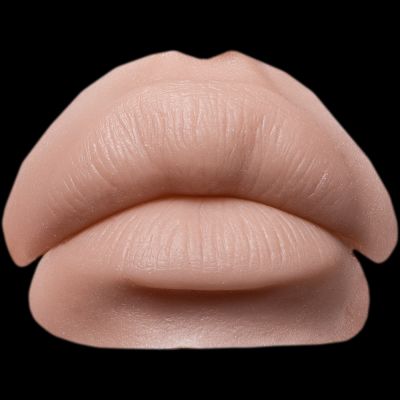 AL1 - Augmented Lips