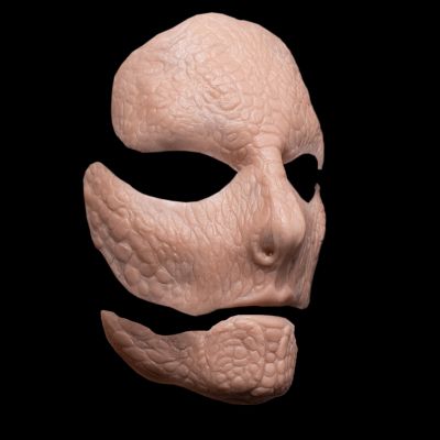 SF1 - Snake Full Face Female